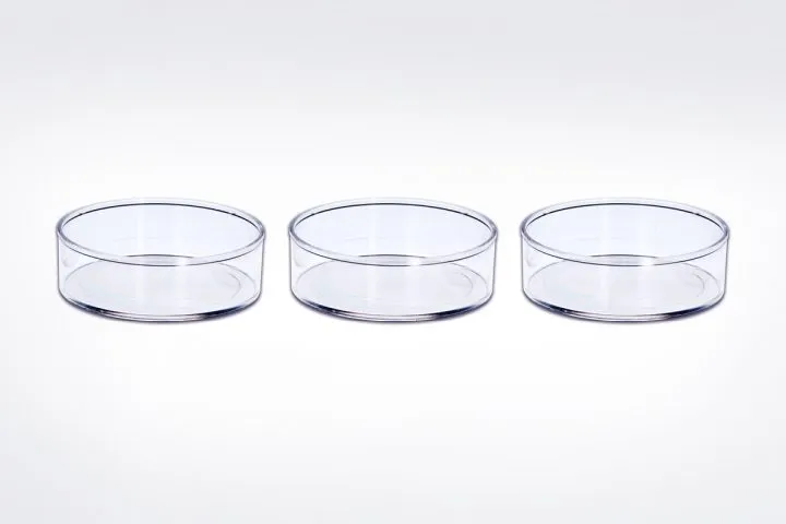 35-mm-petri-dishes-about-1